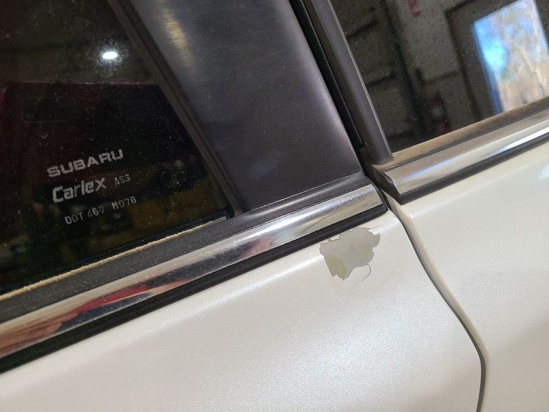 Driver Rear Side Door Electric Station Wgn Outback Fits 10-14 LEGACY 6
