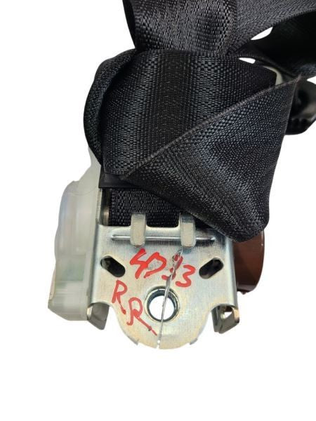 GRANDCHER 2015 Seat Belt Rear 595754