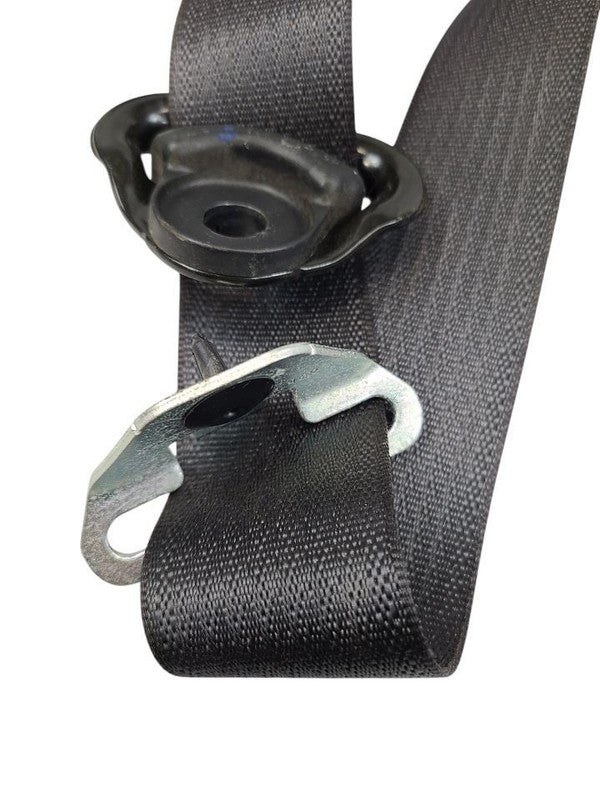 SIEDENALI 2010 Seat Belt Rear 613149