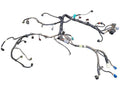 E150      2000 Engine Wire Harness 629911