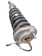 GHIBLI    2019 Strut 664938