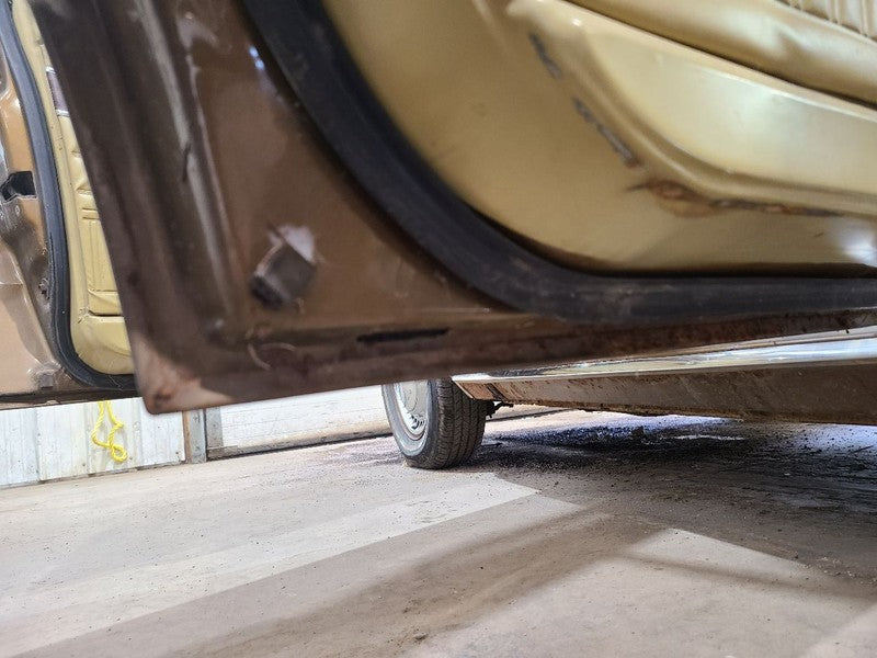 Driver Left Rear Side Door Fits 68-76 DART 668126