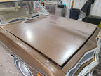 Hood Fits 73-76 DART 668120