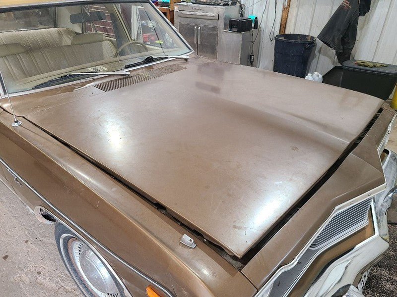 Hood Fits 73-76 DART 668120