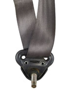 WRANGLER  1999 Seat Belt Rear 597062