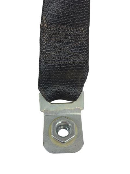 CARAVAN   2009 Seat Belt Rear 599164