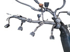 TACOMA    2002 Engine Wire Harness 635439