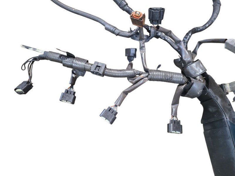 TACOMA    2002 Engine Wire Harness 635439