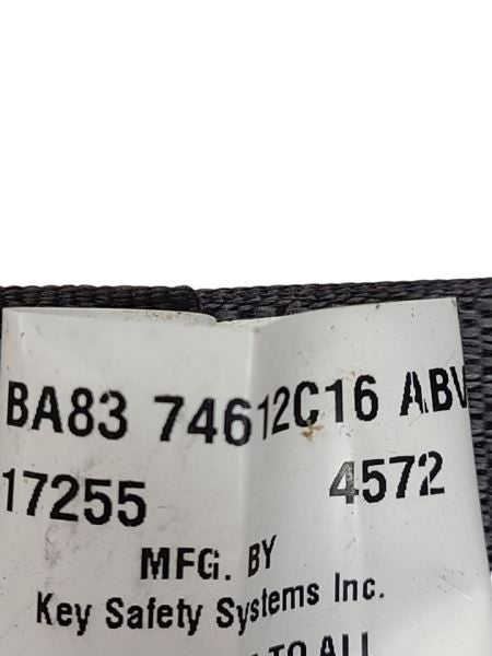 FLEX      2018 Seat Belt Rear 598460