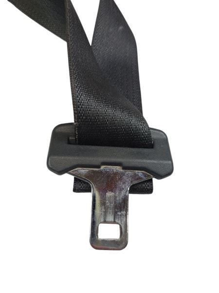 CARAVAN   2009 Seat Belt Rear 599166