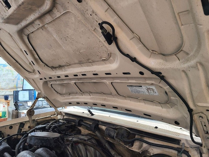 Hood From 8501 GVW Fits 92-97 FORD F250 PICKUP 678293