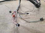 GRAND-WAG 1987 Body Wire Harness 660823