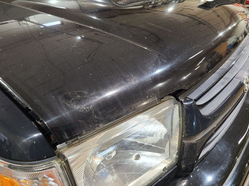Hood With Hood Scoop Fits 99-02 4 RUNNER 677449