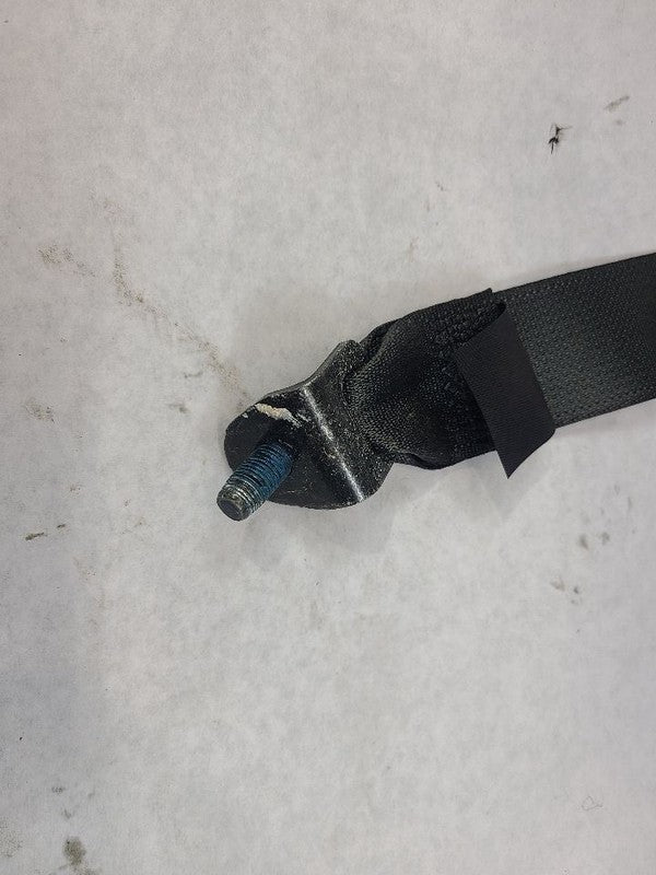 OPTIMAKIA 2016 Seat Belt Rear 605472