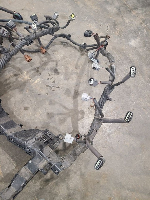SEQUOIA   2005 Engine Wire Harness 664287