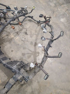 SEQUOIA   2005 Engine Wire Harness 664287