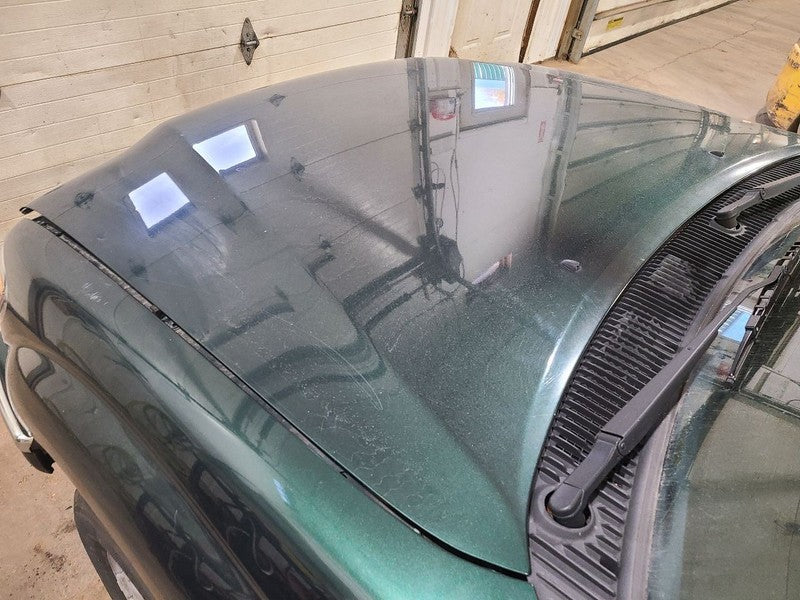 Hood Fits 01-04 TACOMA 679522