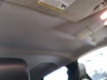 F150      2009 Headliner 675085