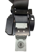 FLEX      2018 Seat Belt Rear 598458