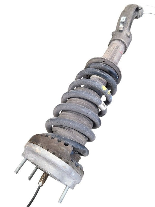 GHIBLI    2019 Strut 664939