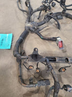 WRANGLER  2000 Engine Wire Harness 672922
