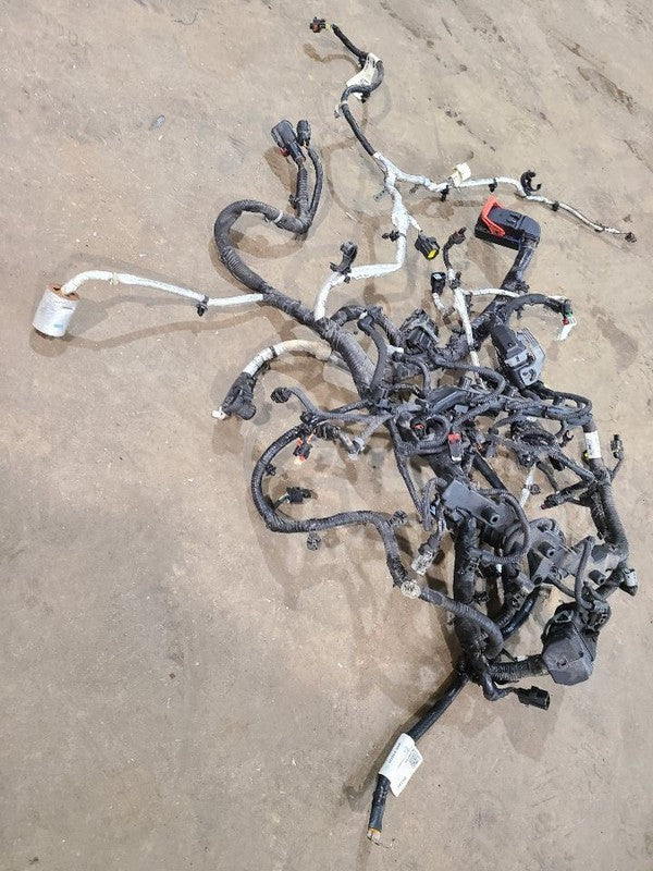 VOYAGER   2020 Engine Wire Harness 623331