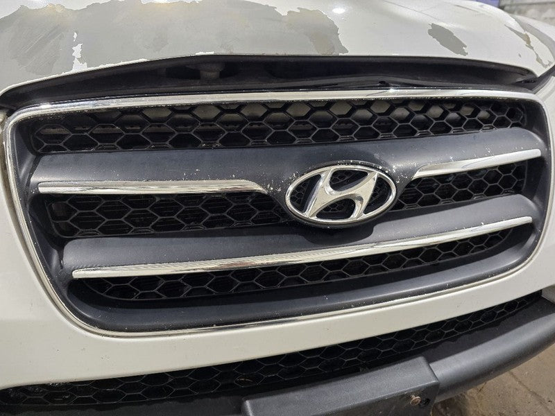 Grille With Surround Without Chrome Bars Fits 07-09 SANTA FE 618780