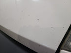 Hood Fits 14-22 PROMASTER 1500 VAN 677371
