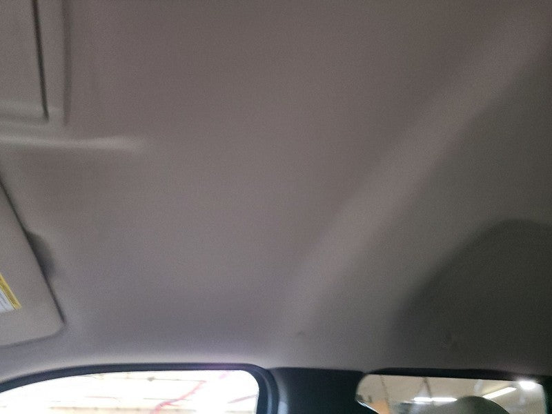 F150      2009 Headliner 677524
