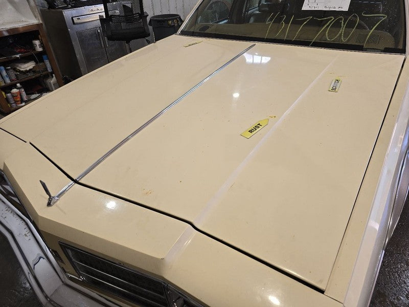 Hood Fits 77-79 OLDSMOBILE 647875