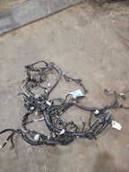 LEGACY    2020 Engine Wire Harness 626994