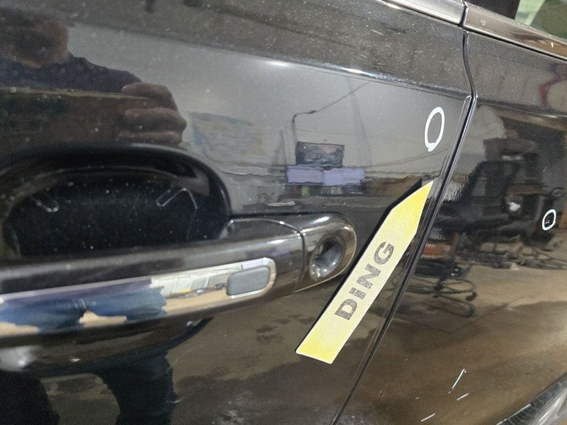 Driver Front Door Electric Lower Side Moulding Fits 09-16 MKS 630452