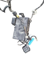 4 RUNNER  2003 Lamp Wiring Harness 641686