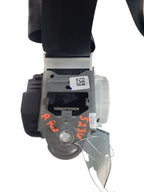 ECOSPORT  2020 Seat Belt Rear 647557