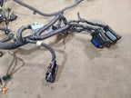 VOLT      2012 Engine Wire Harness 619090