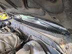 TACOMA    2002 Cowl 670583