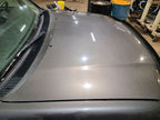 Hood Fits 01-07 SEQUOIA 664216