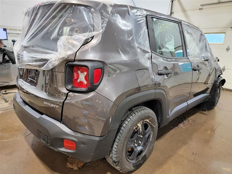 RENEGADE  2017 Owners Manual 565577
