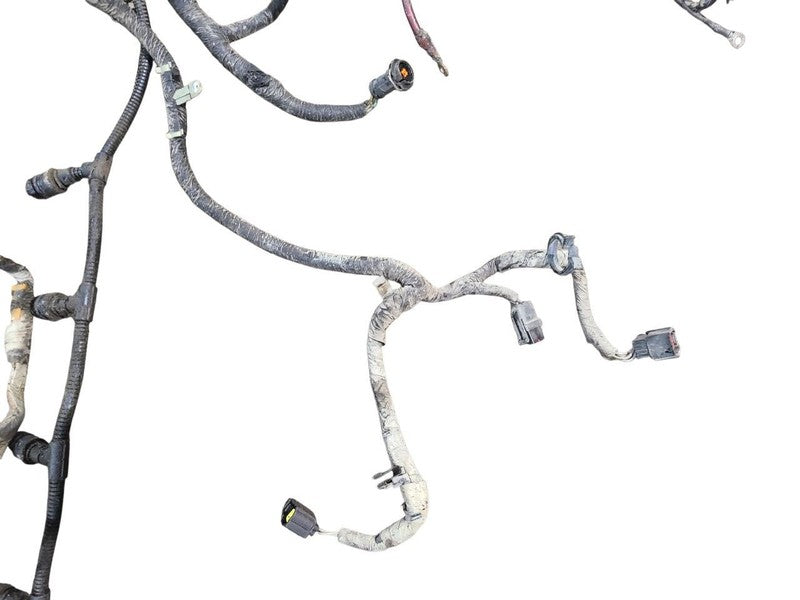 F350SD    2007 Engine Wire Harness 648320