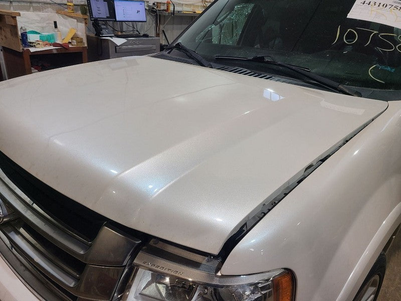 Hood Fits 07-17 EXPEDITION 664521