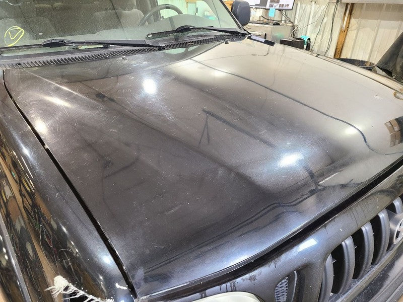 Hood Fits 01-04 TACOMA 670582