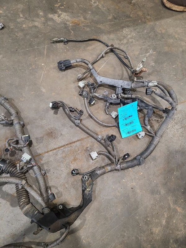 GS350     2007 Engine Wire Harness 620290