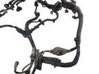 PRIUS     2014 Engine Wire Harness 651116