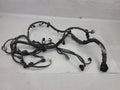 OUTBAKLEG 2015 Engine Wire Harness 552583
