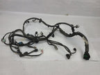 OUTBAKLEG 2015 Engine Wire Harness 552583