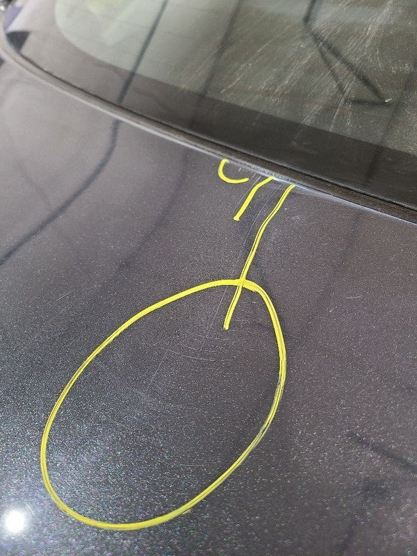 Trunk/Hatch/Tailgate Without Spoiler Fits 05-10 SCION TC 673322