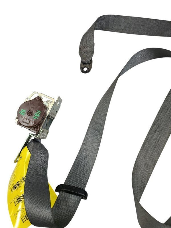 TACOMA    2010 Seat Belt Rear 604171