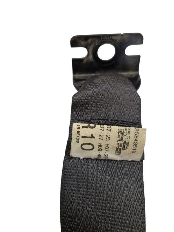 SIEDENALI 2010 Seat Belt Rear 613150
