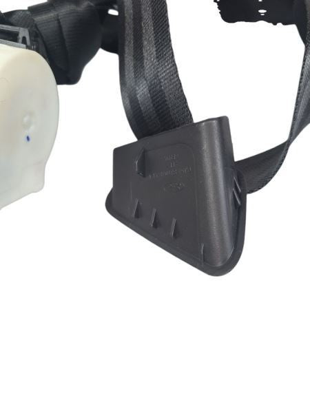 ESCAPE    2018 Seat Belt Rear 592480
