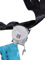 GIULIA    2017 Seat Belt Rear 644428